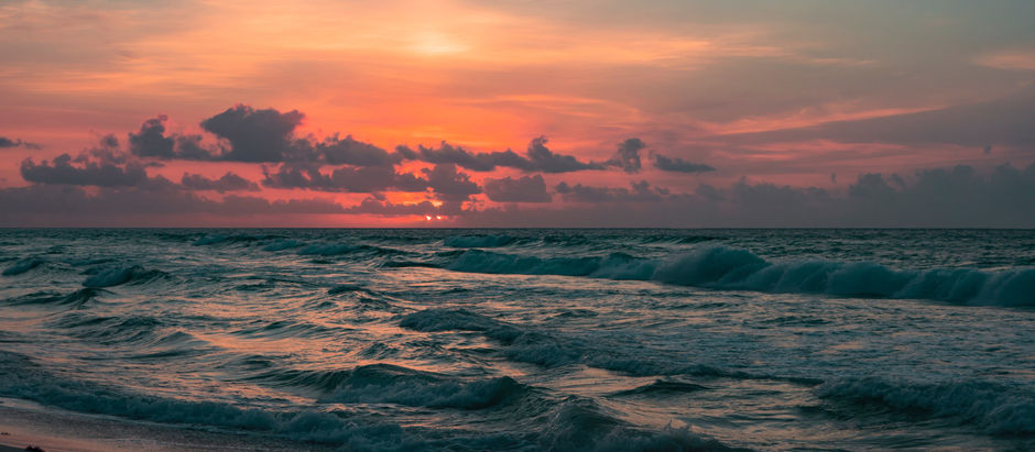 Another Day in Paradise