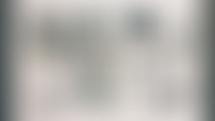 On revolution and evolution