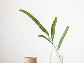 Four Ways to Grow in Your Faith