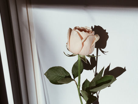 feminine cycles