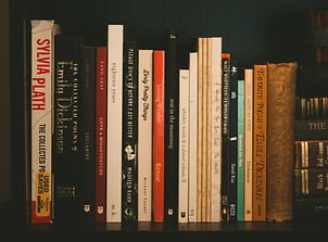 Image by Taylor Wright