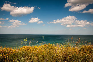 Image by David Marcu