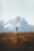 Image by Joshua Earle