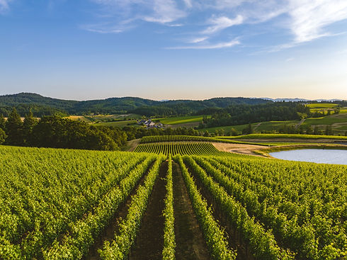 Willamette Valley - Image by Dan Meyers