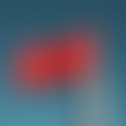 A plastic red flag toy