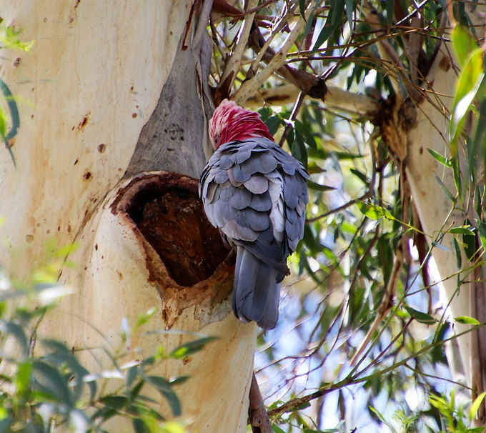 Image by Megan Clark