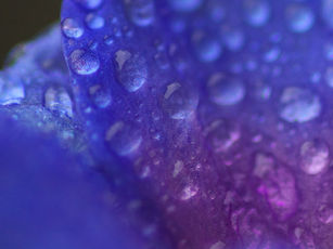 2 Simple Strategies to Ease Depression