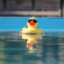 Chill Rubber Duck floating in a pool