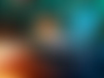 Detecan fraude empresarial