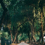 Image by Yosef Futsum