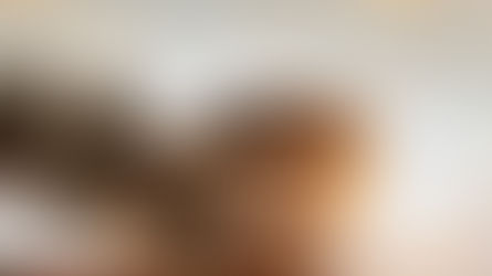 🌸🎉 Spring Festival 2026 !! 🎉🌸