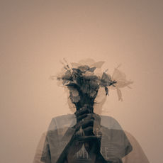 O que e Estresse Oxidativo?