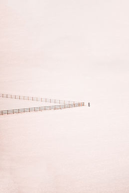 Image by David Beneš