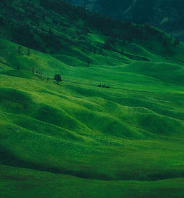 Image by Muhammad Kamal Azizi