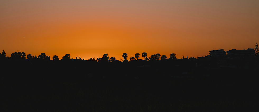 Image by Michiel Annaert