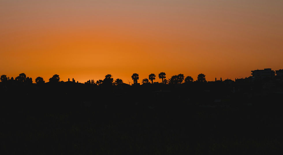 Image by Michiel Annaert