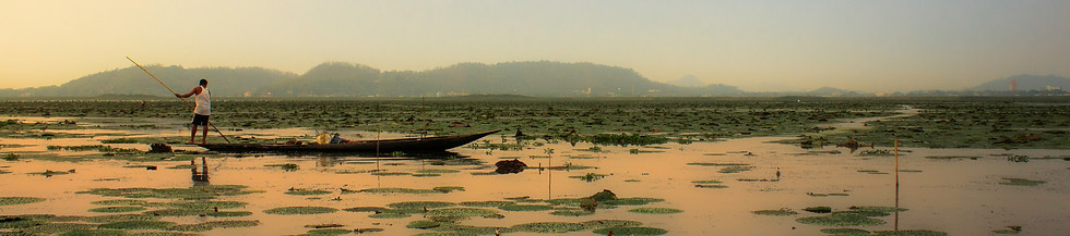 Image by Rohit Dey