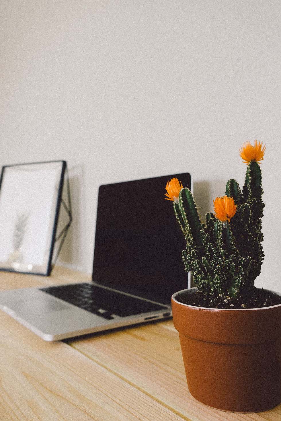 A cactus with orange flowers in a pot sits on a wooden desk beside an open laptop. A framed picture is in the background. Minimalist setting.
