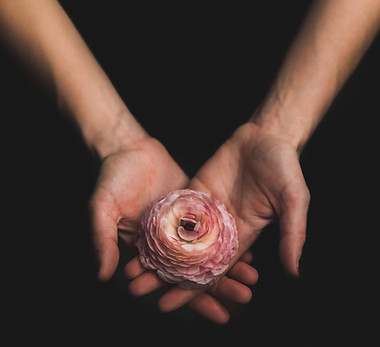 Image by Matthew Henry