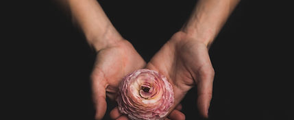 Image by Matthew Henry