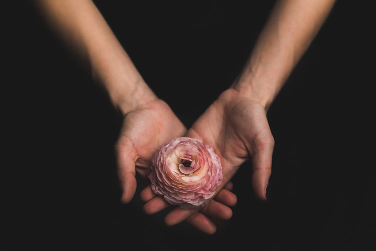 Image by Matthew Henry