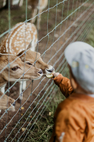 Image by Daiga Ellaby