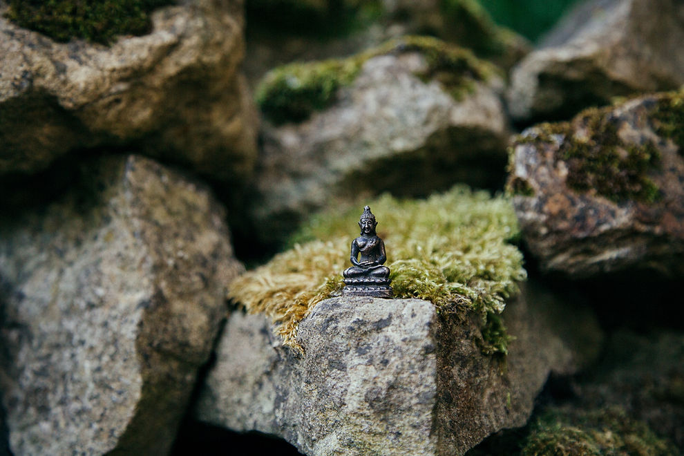 Image by Samuel Austin