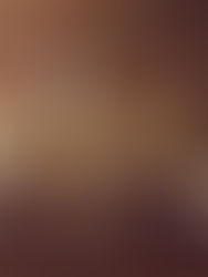 Turkey Memes and Gratitude Posts