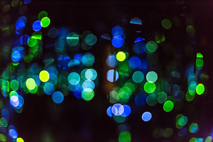 Image by Dayne Topkin