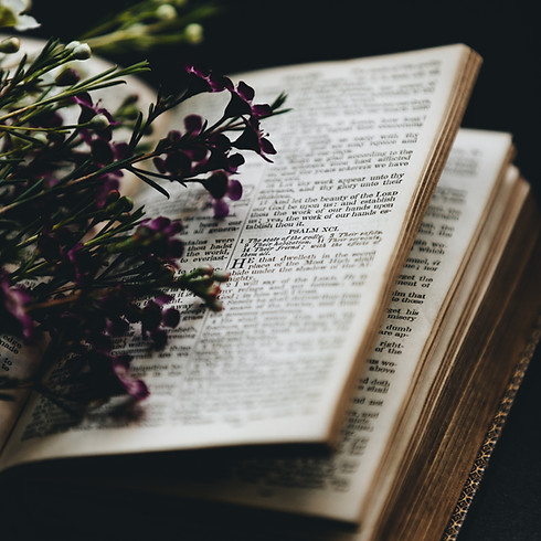 Image by Nathan Dumlao