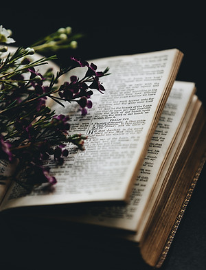 Image by Nathan Dumlao