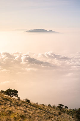Image by Bernard