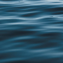 Historische Geschehnisse - Frühe Neuzeit