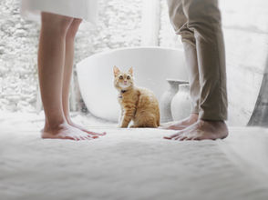 Heading for Divorce? It Doesn't Have to be World War III