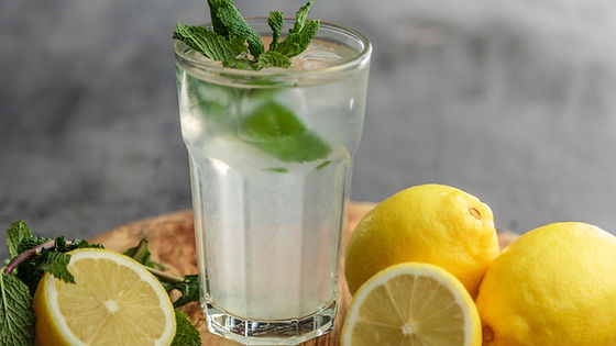 Sugar Free Citrus Spritz