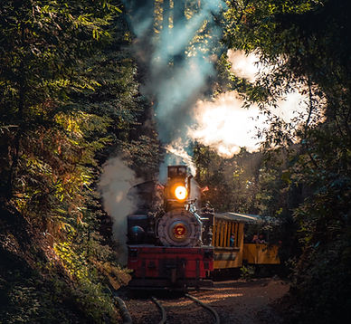 Image by Casey Horner