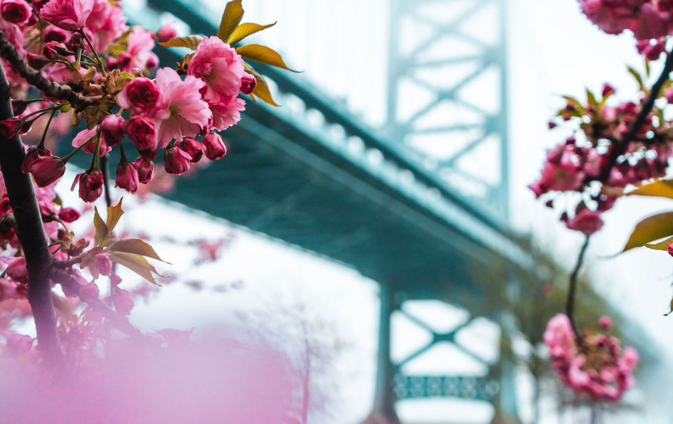 Benjamin Franklin Bridge as seen during New York Tours Plus tour of Philadelphia by your tour guide, YAROSLAV BONDARENKO. Image by Dylan Sauerwein