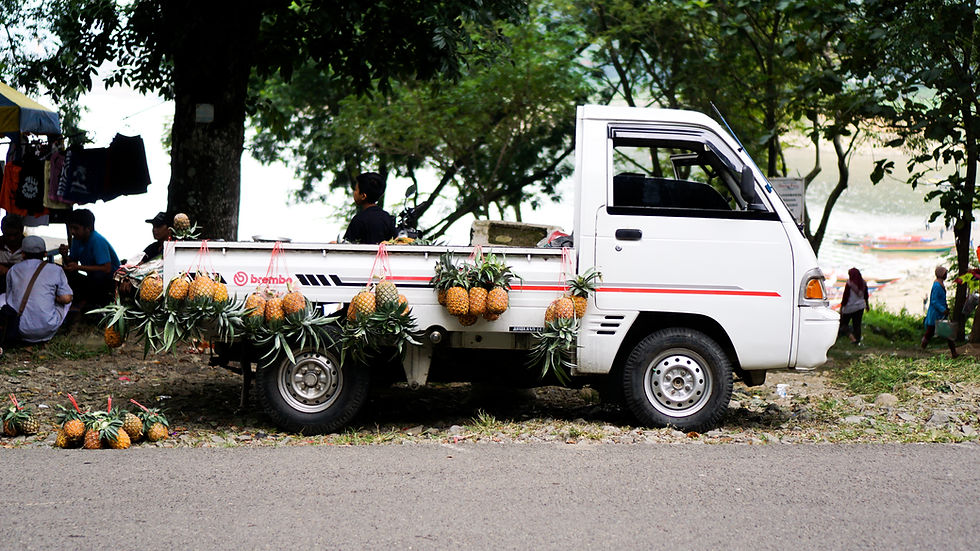 pick up truck