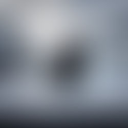 Que deviennent les AFOP ?