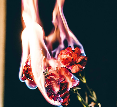 Image by Jackie Tan