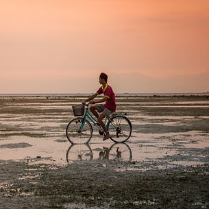 Image by Luca Zanon