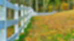 A field of fallen leaves in autumn with a long white fence running the length of the field separating it from large trees.