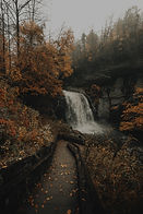 Image by Clay Banks
