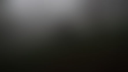 A log cabin on a green hill surrounded by trees and heavy fog.