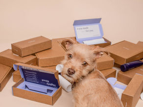 Brand_Corrugated Box