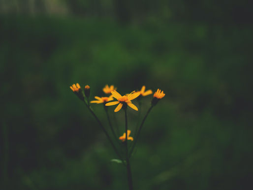 Embracing the sometimes