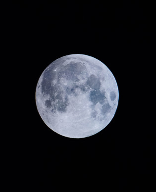 Image by CHUTTERSNAP