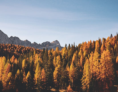 Image by Federica Galli