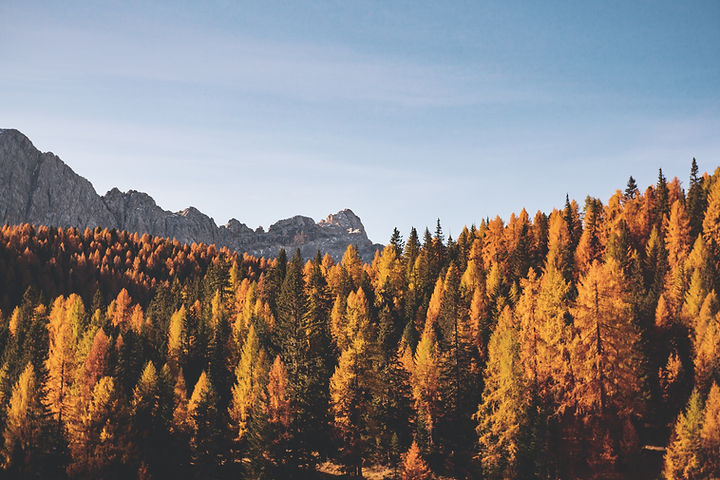 Image by Federica Galli