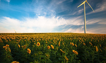 Image by Gustavo Quepón